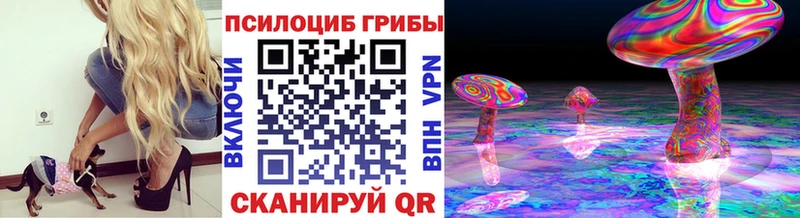 Купить закладки  Свободный  Галлюциногенные грибы прущие грибы 